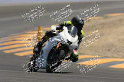 media/May-14-2023-SoCal Trackdays (Sun) [[024eb53b40]]/Turn 12 (1145am)/